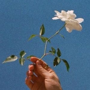 Meet your Posher, Victor